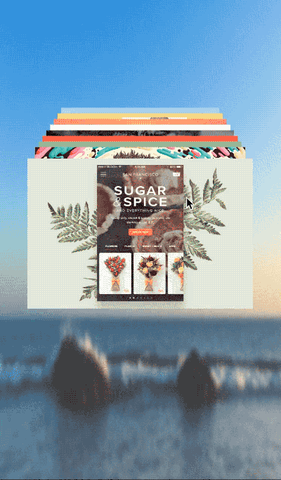 Animated gif image of the interaction.